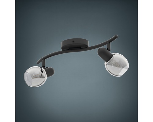 Plafondspot, 2-lichts, HxL 16,5x36,5 cm, zwart/transparant