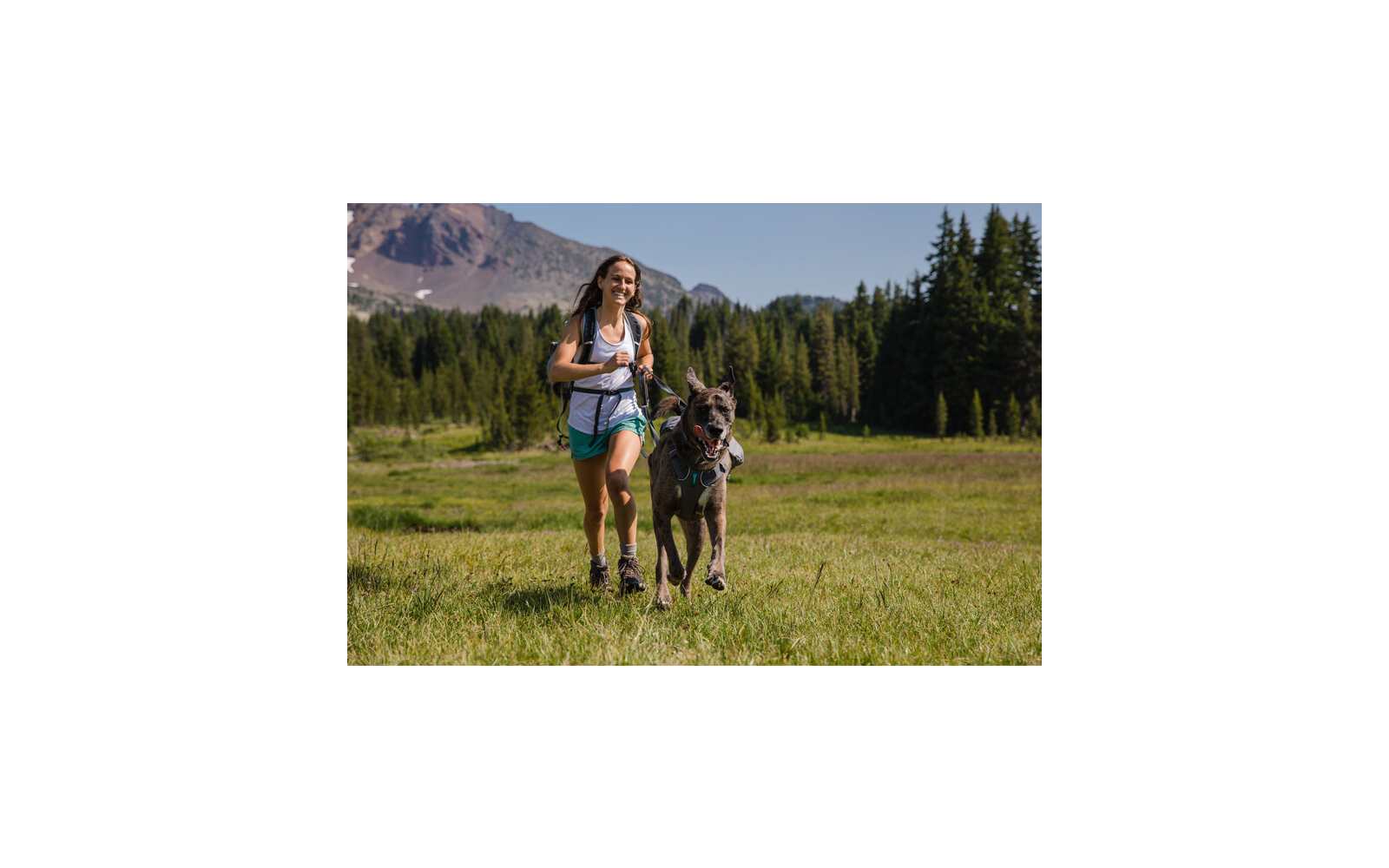 Ruffwear Switchbak Hundegeschirr Granite Gray XS 43 - 56 cm