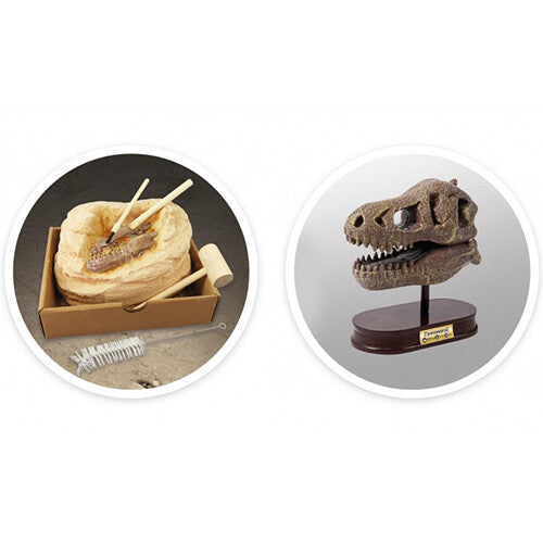 Buki mega opgraafkit dinoschedel - t-rex
