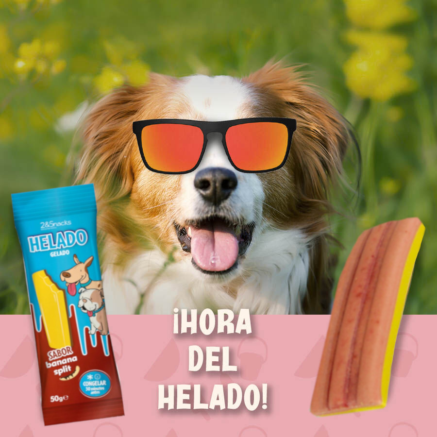 Sorvete Banana Split da 2&Snacks para Cães