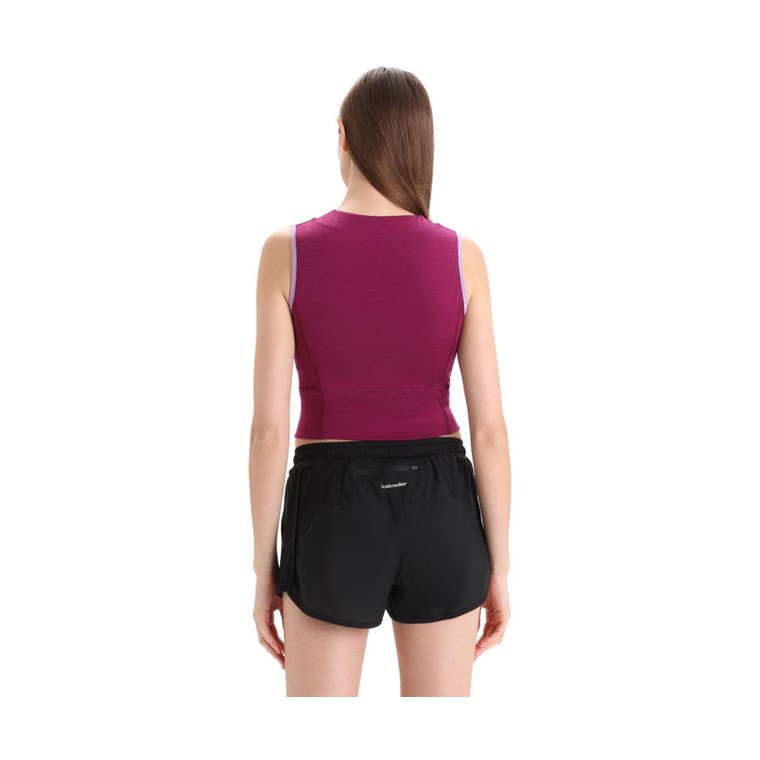 Icebreaker ZoneKnit Cropped Bra-Tank Women Purple Gaze/Go Berry