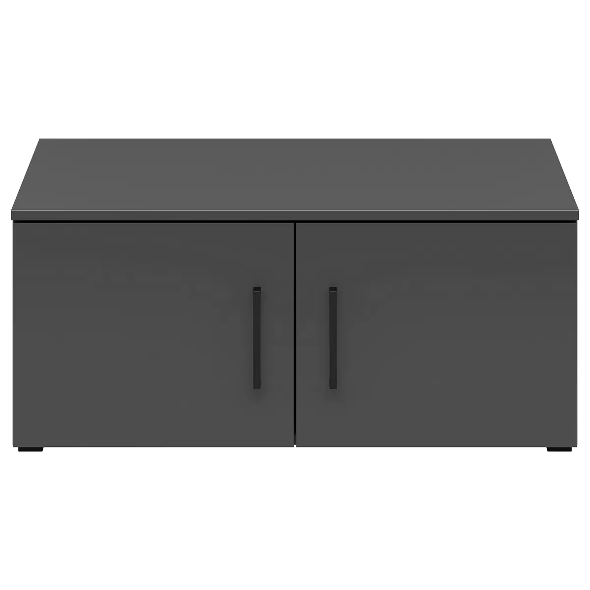 Regal 2T Cabinet Anthrazit