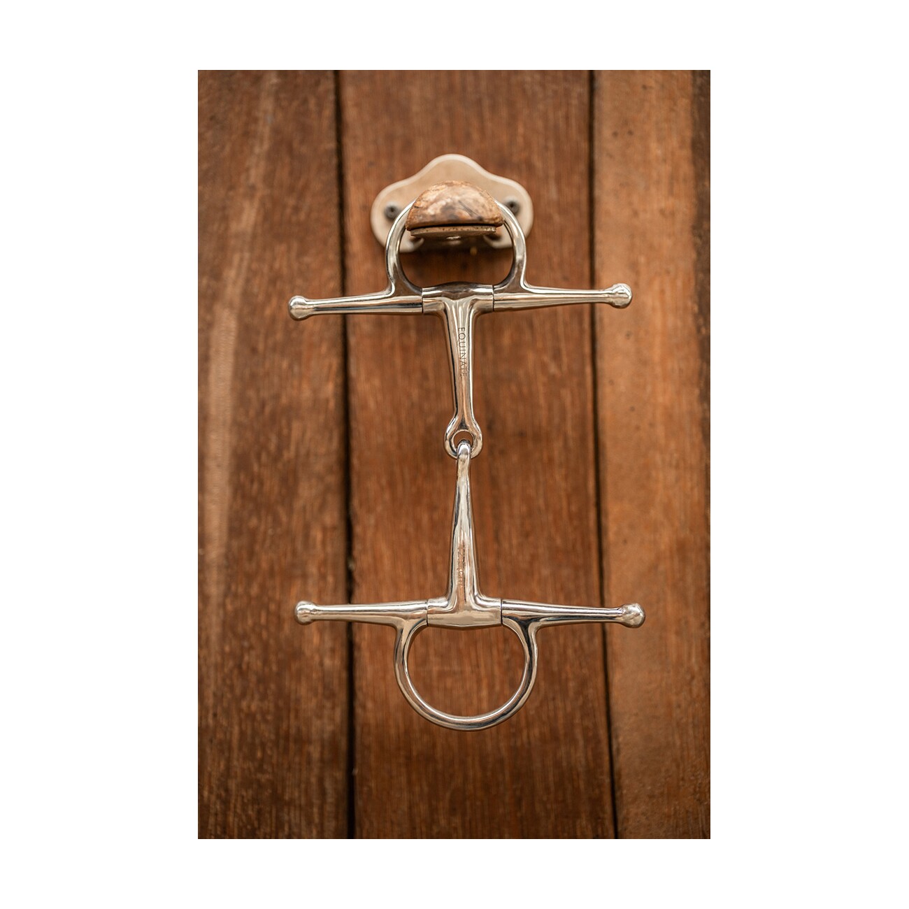Equinate Schenkeltrense Edelstahl 16mm einfach gebrochen 1,6 cm 13,5 cm