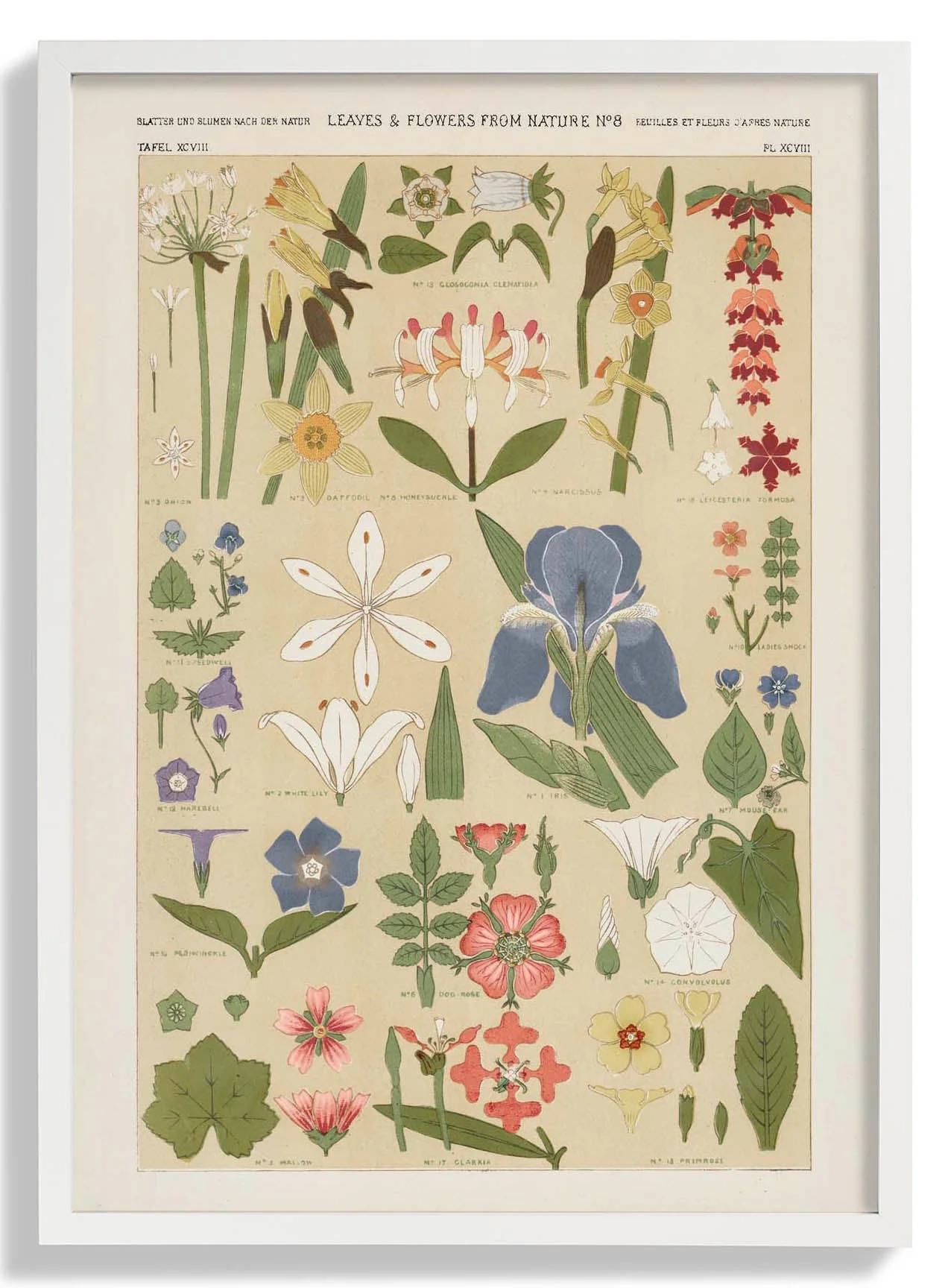 Leaves & Flowers Nr 8 von Owen Jones