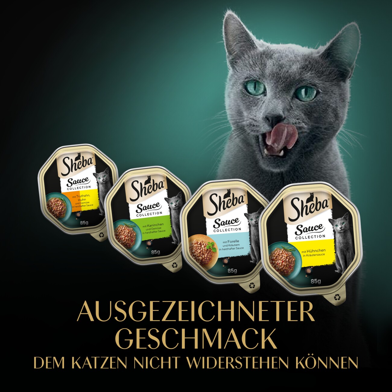 Sheba Multipack Sauce Collection Feine Vielfalt 12x85 g
