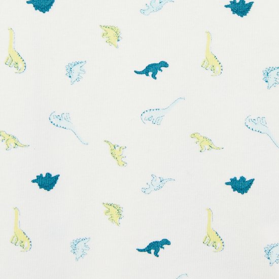 Pantalon + Haut Jardin Extraordinaire   Dino        de               P'tit bisou