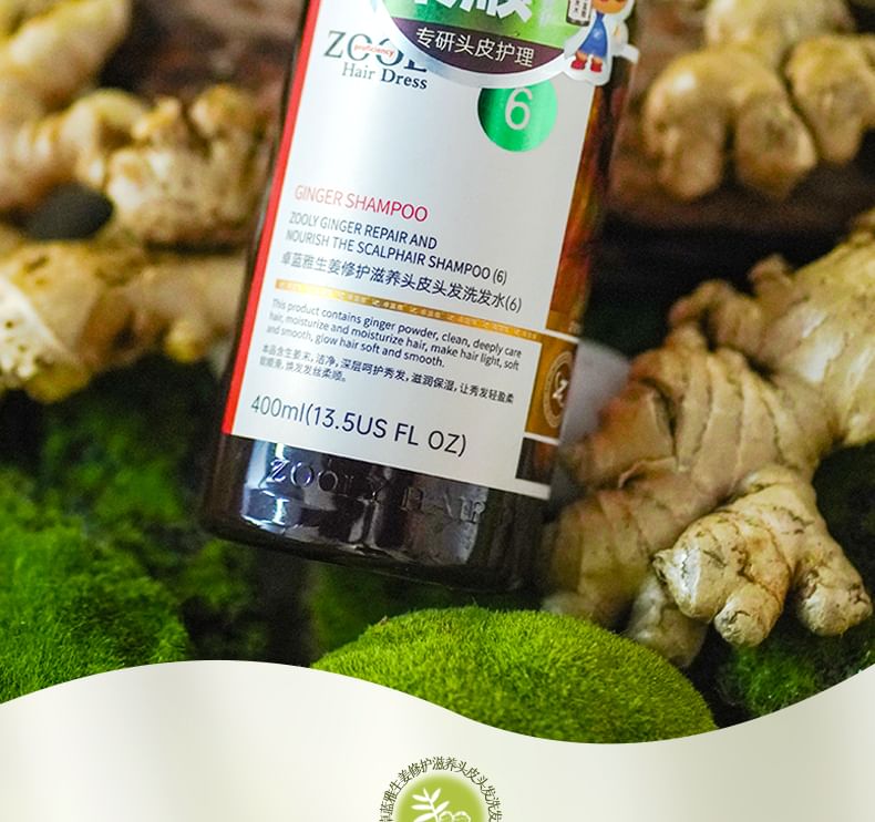 ZOOLY - No.6 Ginger Scalp Repair & Nourish Shampoo
