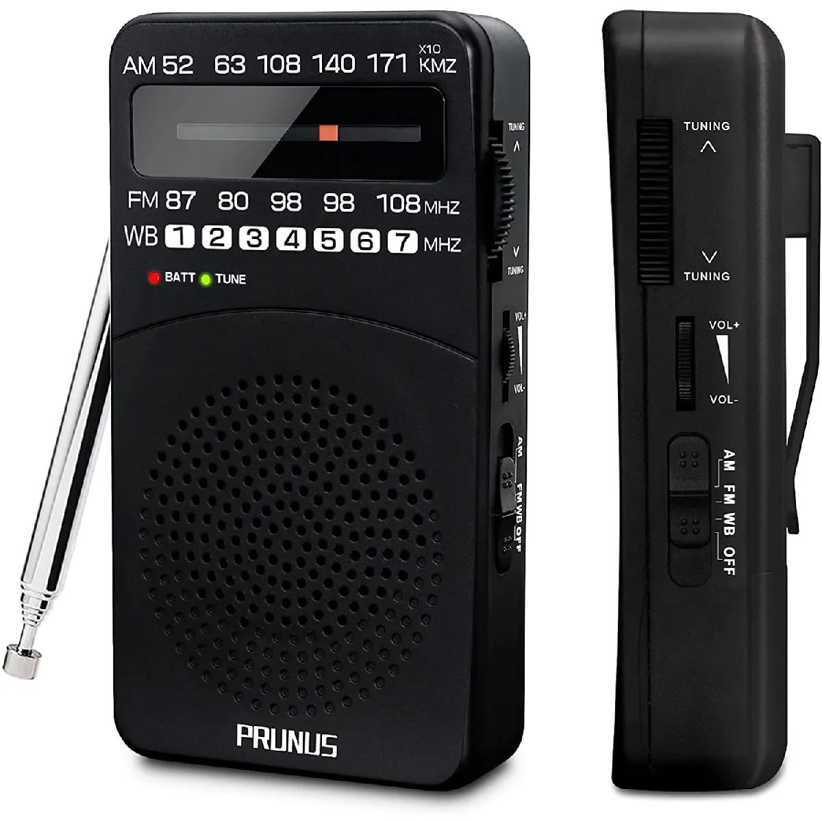Prunus J-166