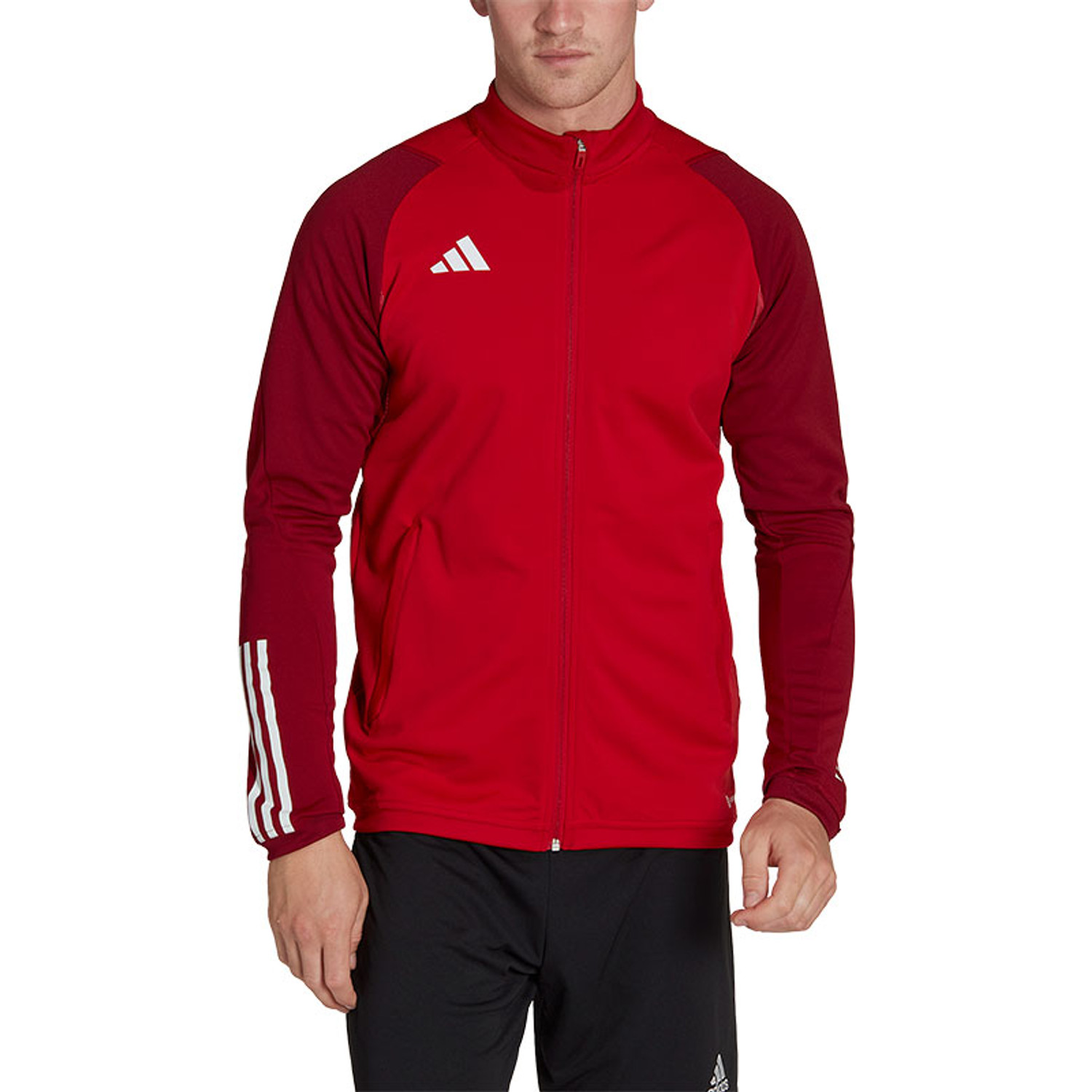 adidas Tiro 23 Competition Track Trainingspak