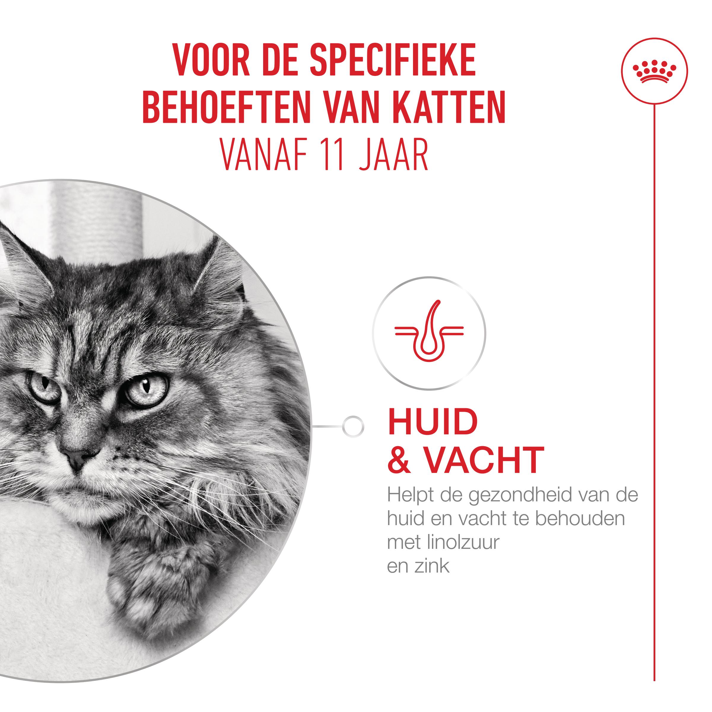 Royal Canin Ageing 11+ in Gelei - Kattenvoer