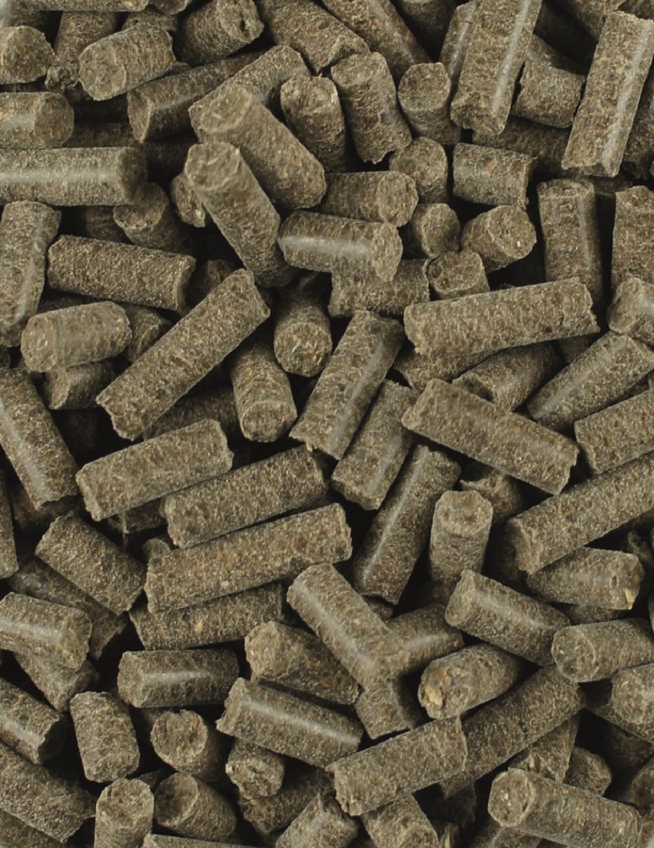 LEXA Pferdefutter Kieselgur-Plus