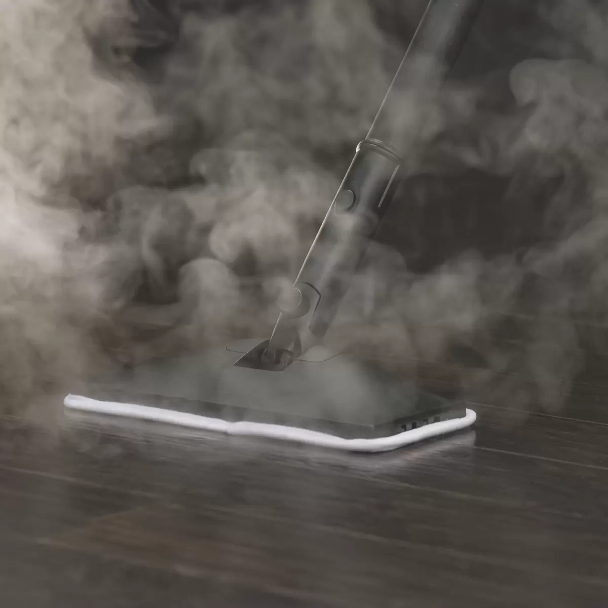 Dampfreiniger H2O Steam FX Pro