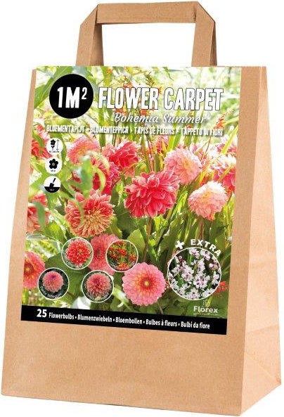 Florex bloembollen 1M² Bloementapijt Bohemian summer 25 stuks