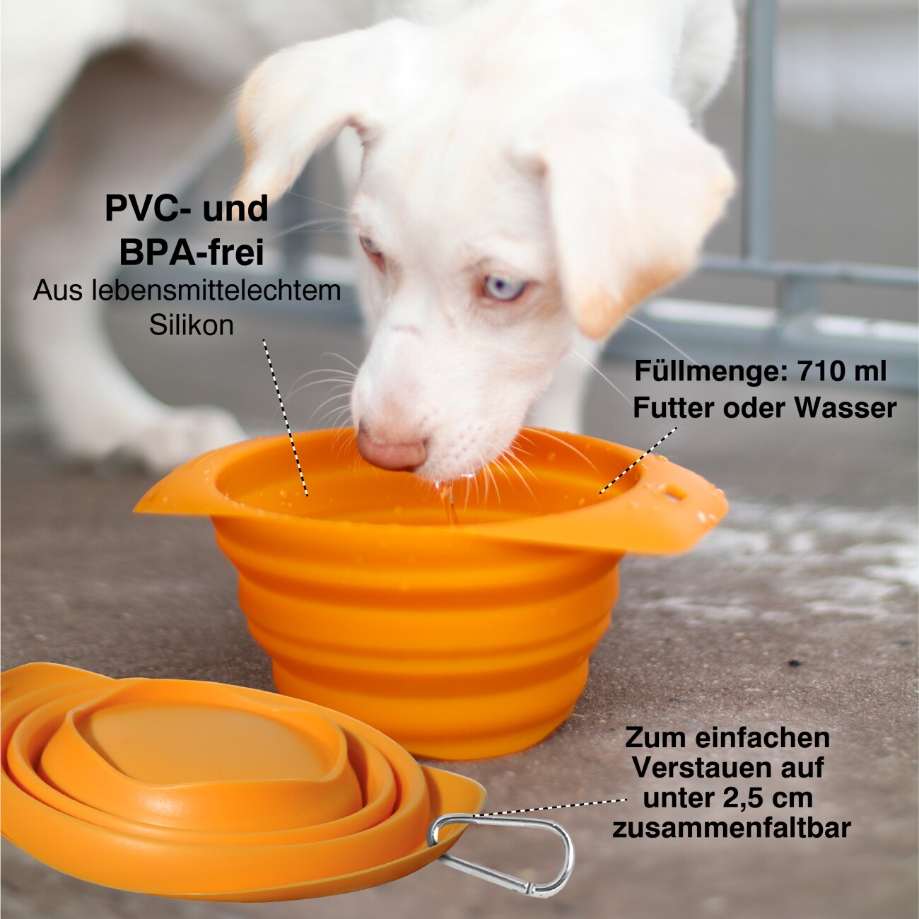 Kurgo Zusammenfaltbarer Hundenapf rot