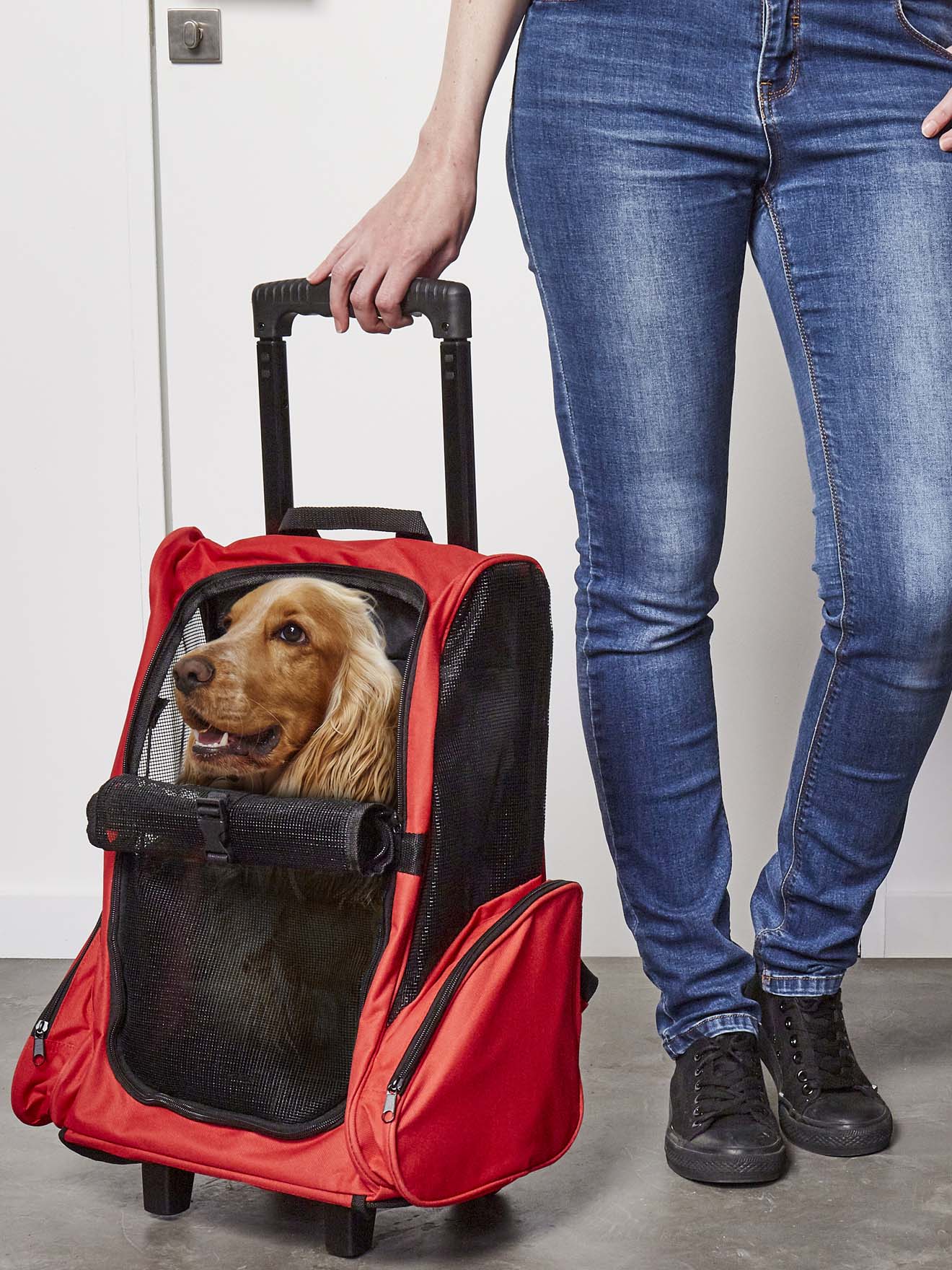 Trolley pour animaux