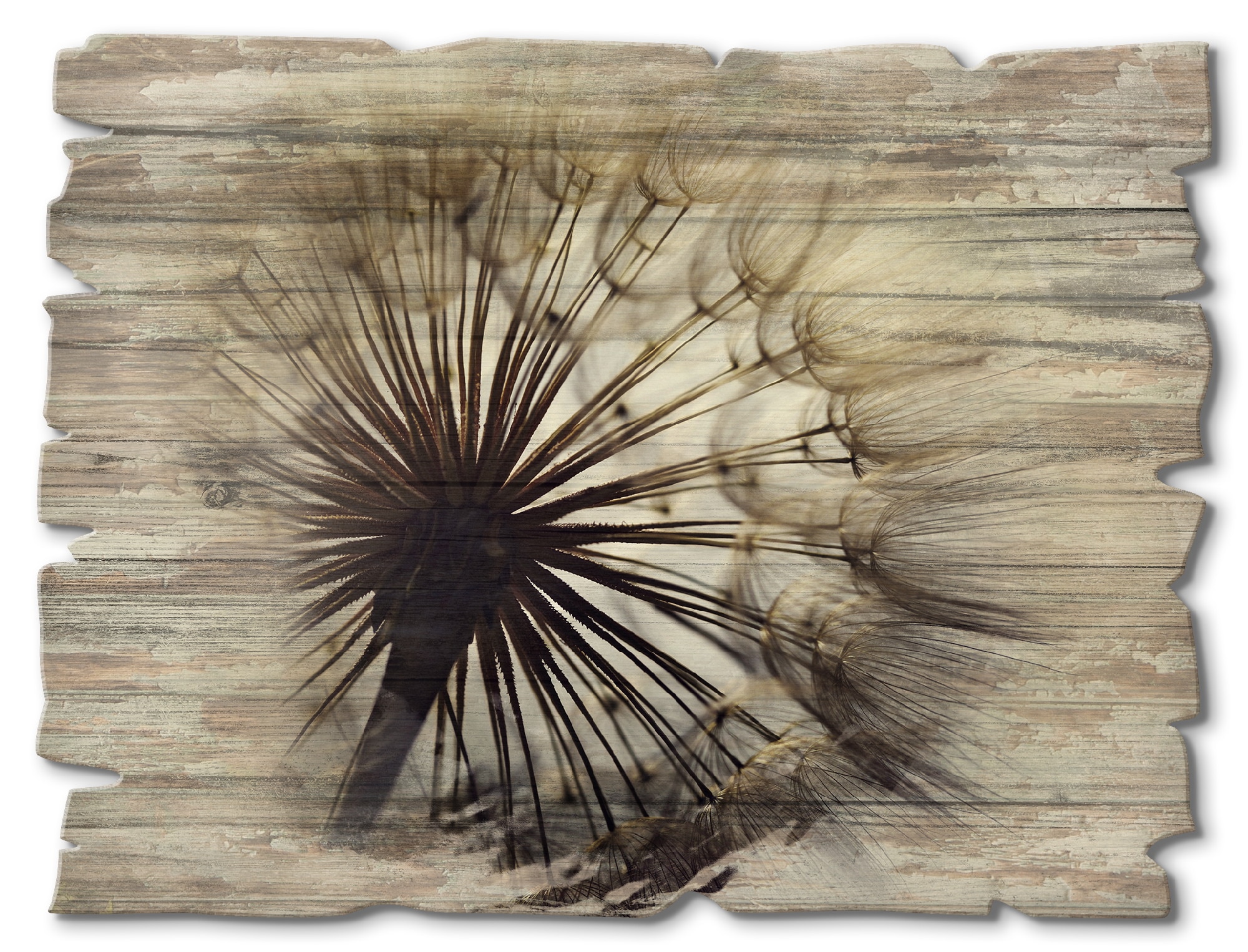 Artland Holzbild »Grosse Pusteblume« Blumen 1 Stk. tlg.