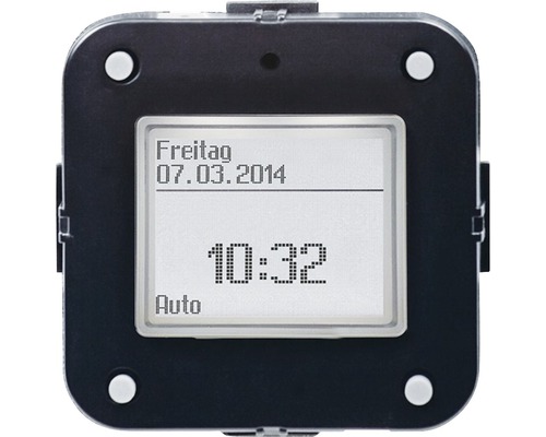 Busch-Jaeger 6456-101 Standaard Timer Besturingseenheid