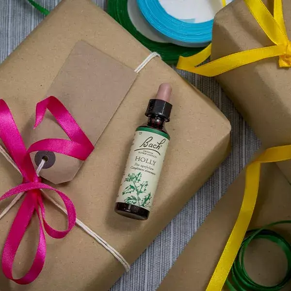 Fleurs de Bach Original - Holly 20ml