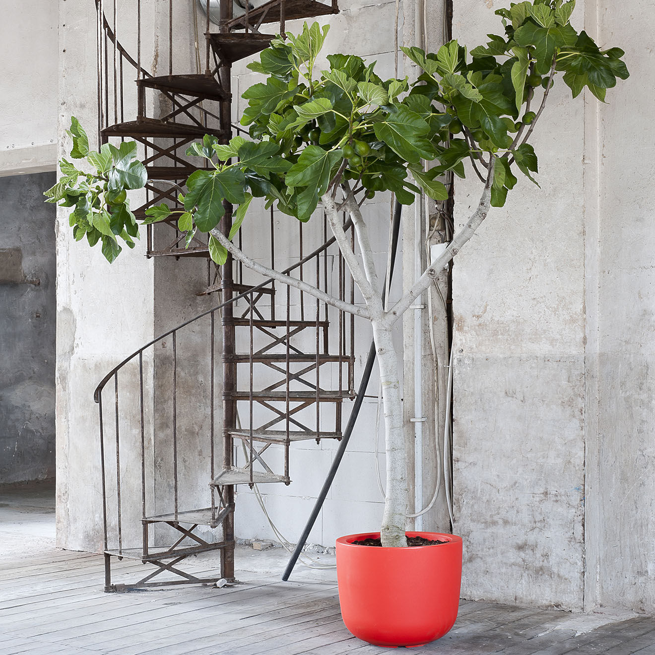 Serralunga Pot coupe design par naoto fukusawa corail - D.48x25 cm