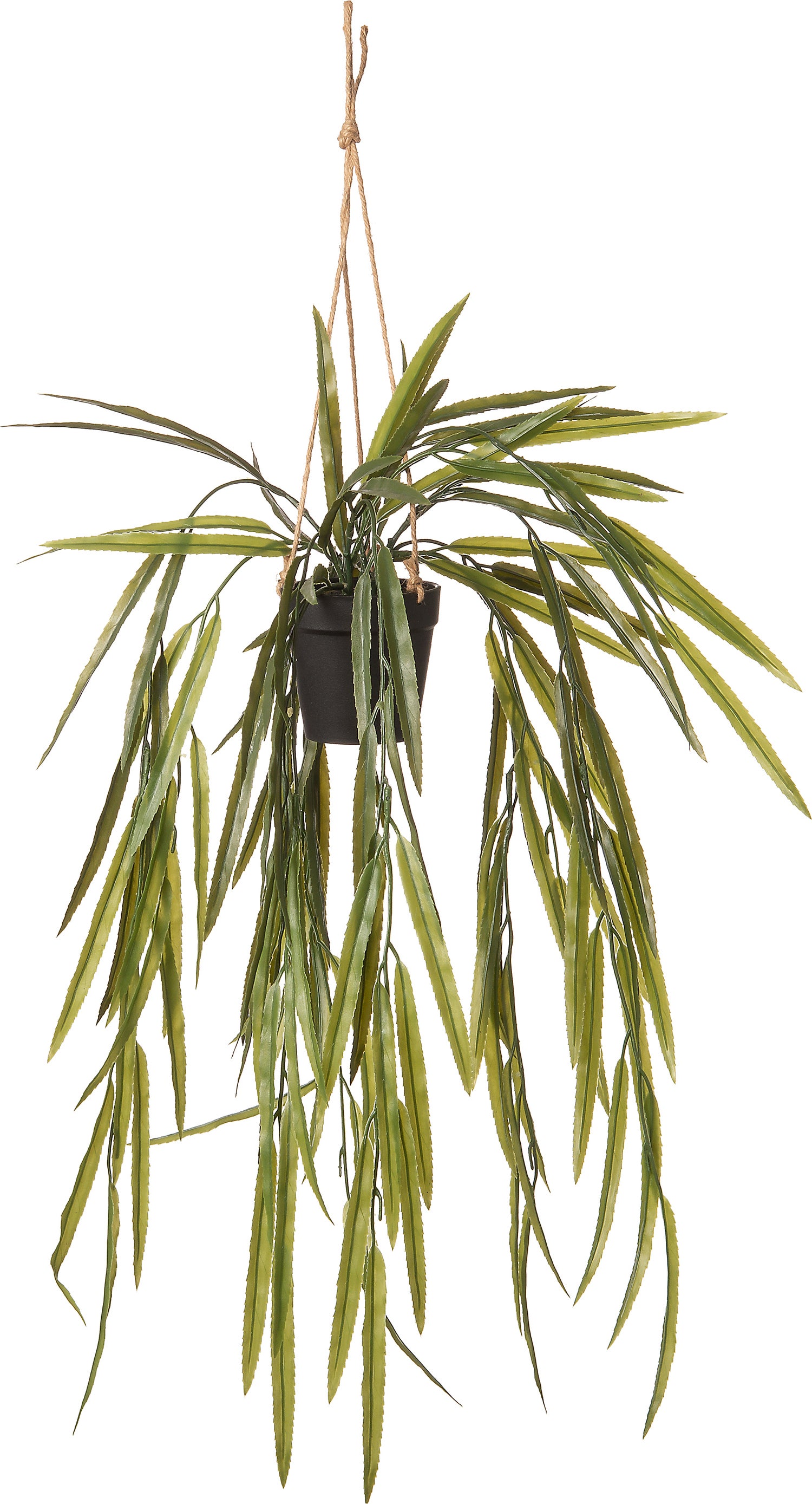 Intratuin kunsthangplant Bladcactus D 9,5 H 30 cm