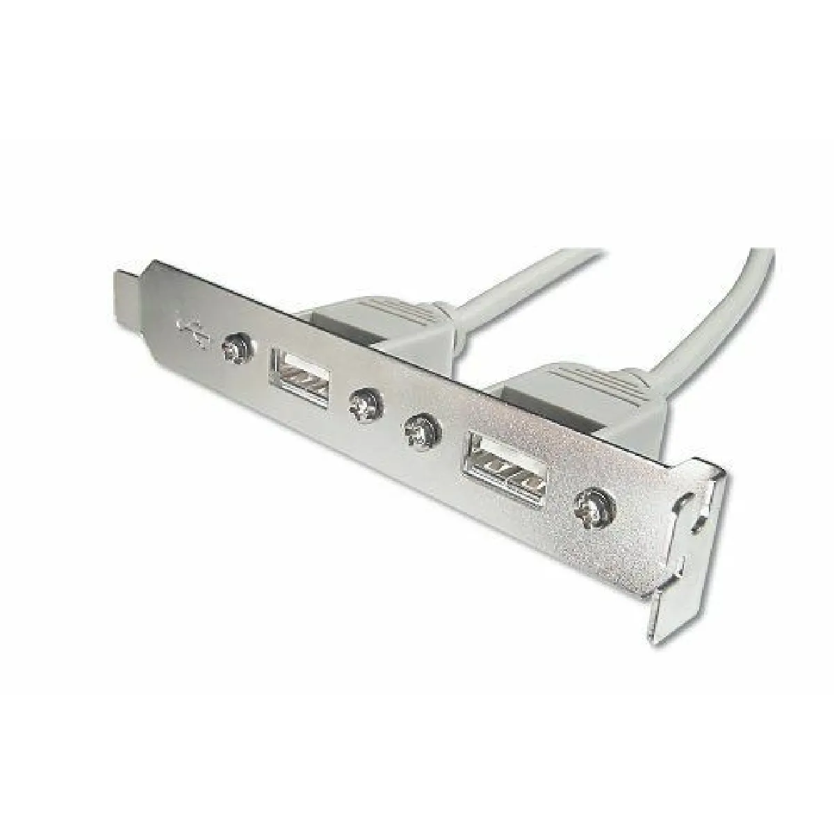 ASSMANN USB Slot Bracket