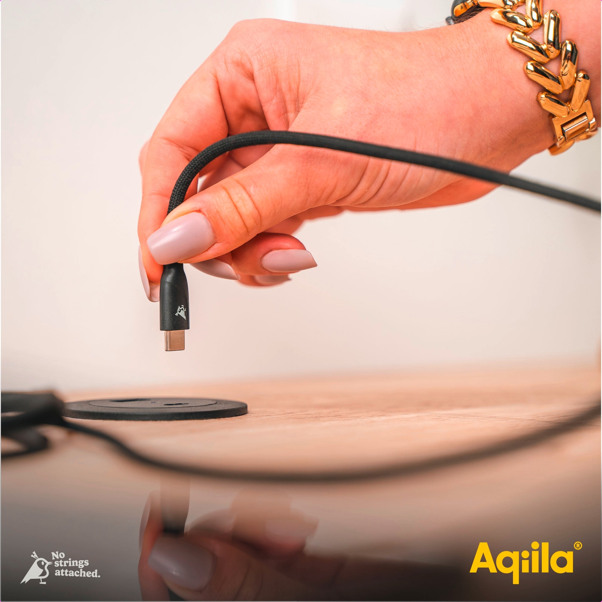Aqiila Cablebird CB13 Ladekabel / Sync-Kabel USB-C zu USB-C / 240 W / 3 Meter