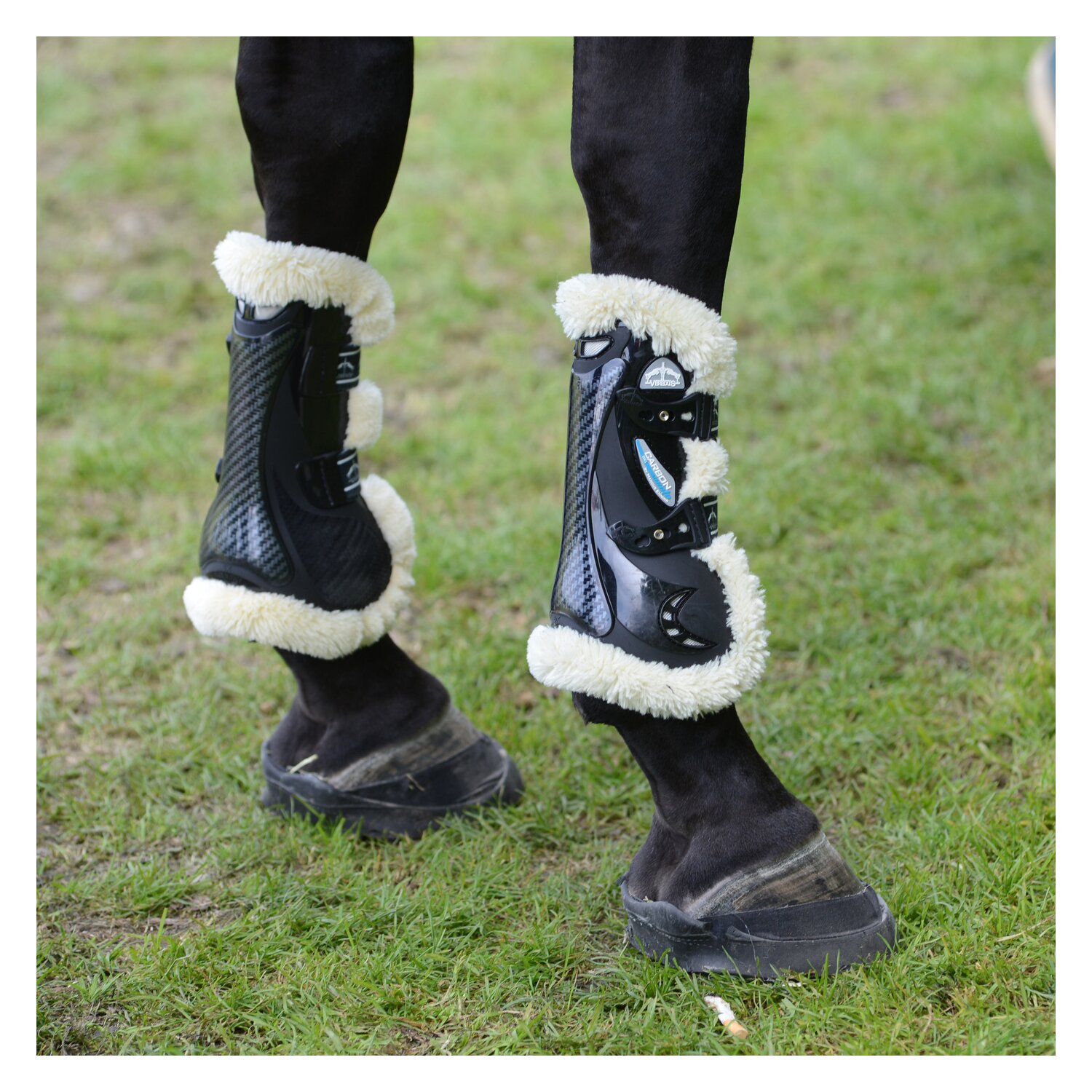 VEREDUS Gamaschen Carbon Gel Vento Save the Sheep, für die Vorderbeine  - black