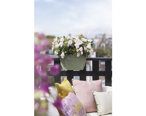 Flower Bridge bloembak elho Vibia Campana 40 kunststof 40 x 26 x 22 cm pistachegroen