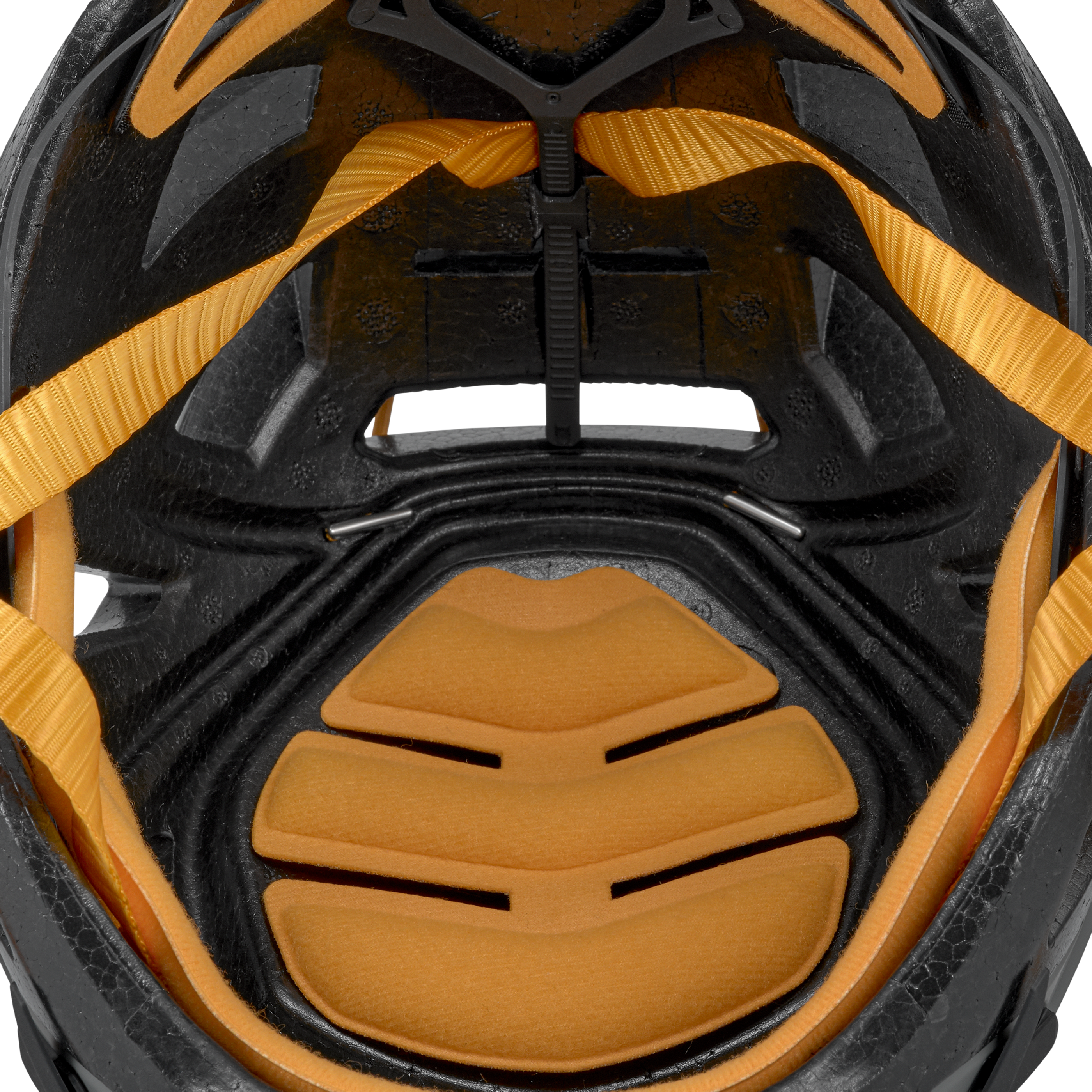 Aria Helm