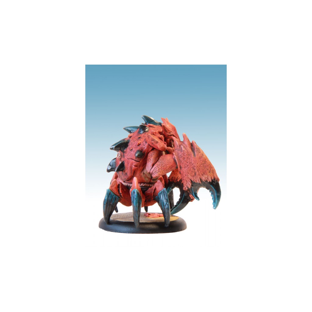 Briskars - Bannis - Birgus Royal