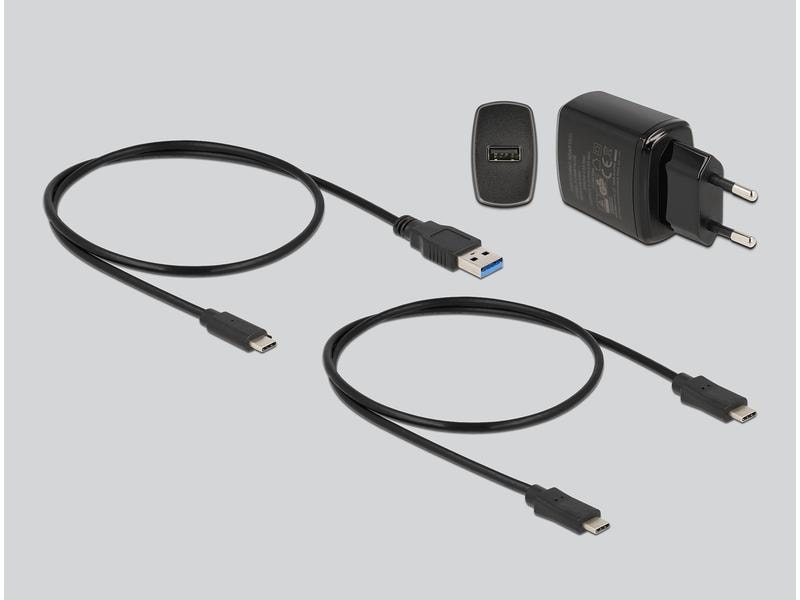 Delock Docking- und Klonstation für 2x M.2 NVMe Delock M.2 Dockingstation für 2 x M.2 NVMe PCIe SSD mit Klon Funktion
