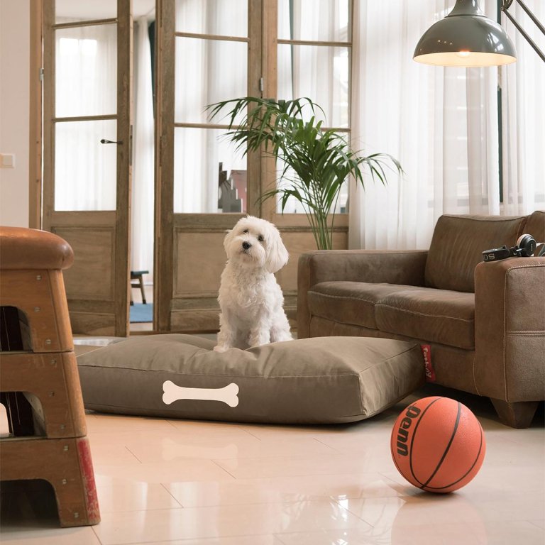Fatboy Doggielounge L Canvas Recycled Charcoal Grey