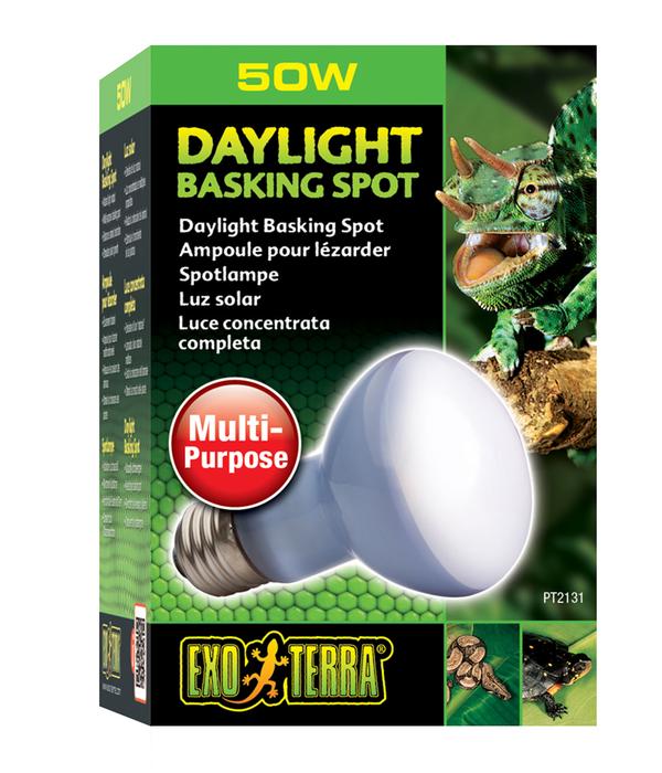 Exo Terra® Daylight Basking Spot