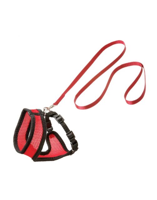 Flamingo Harnas Met Looplijn Harms - Kattentuigje - Rood Zwart 120cm 15mm