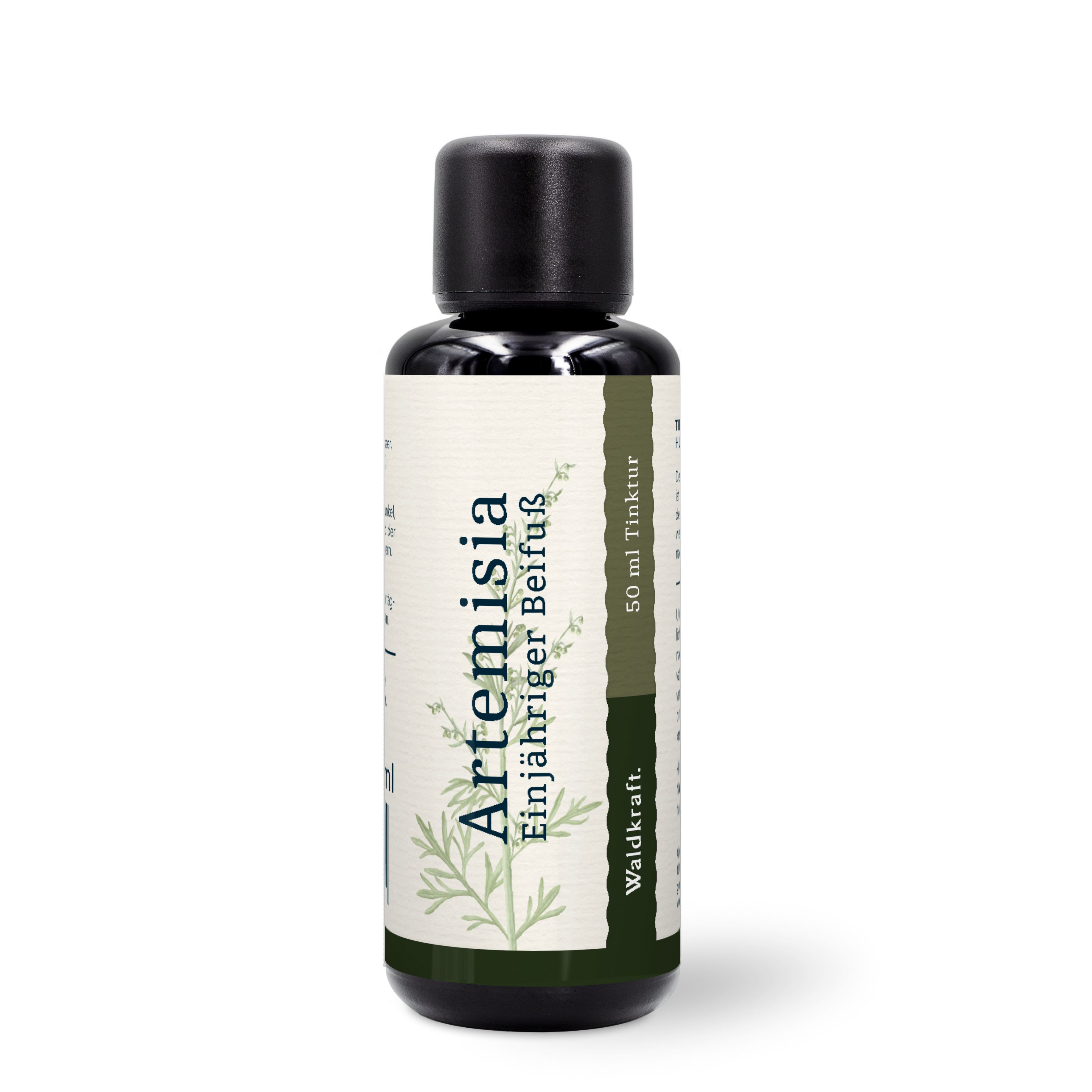 Waldkraft  Beifußkraut Artemisia