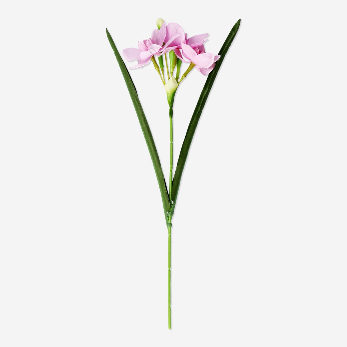 Dekorativ lyserød blomst