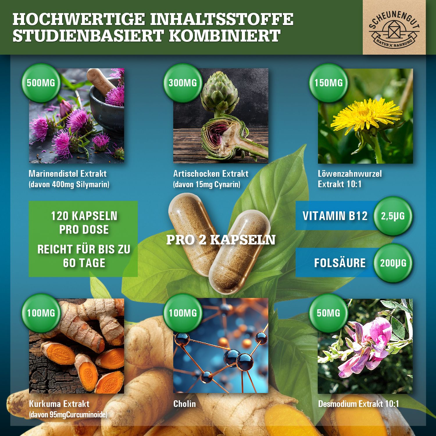 Scheunengut® LEBER INTENSO+ | Extra starker Leber Komplex mit Cholin