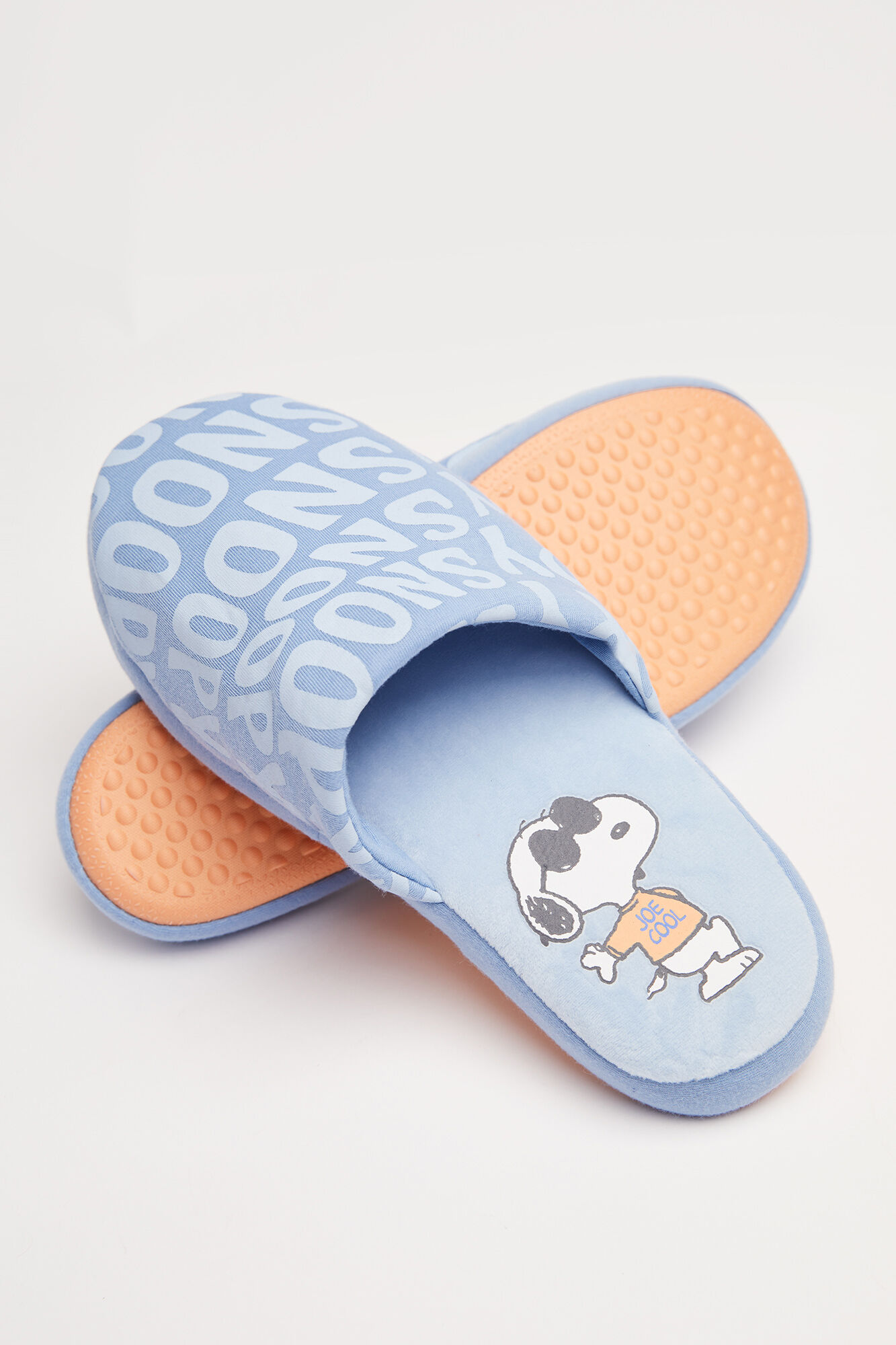 Zapatillas casa Snoopy azul - azul