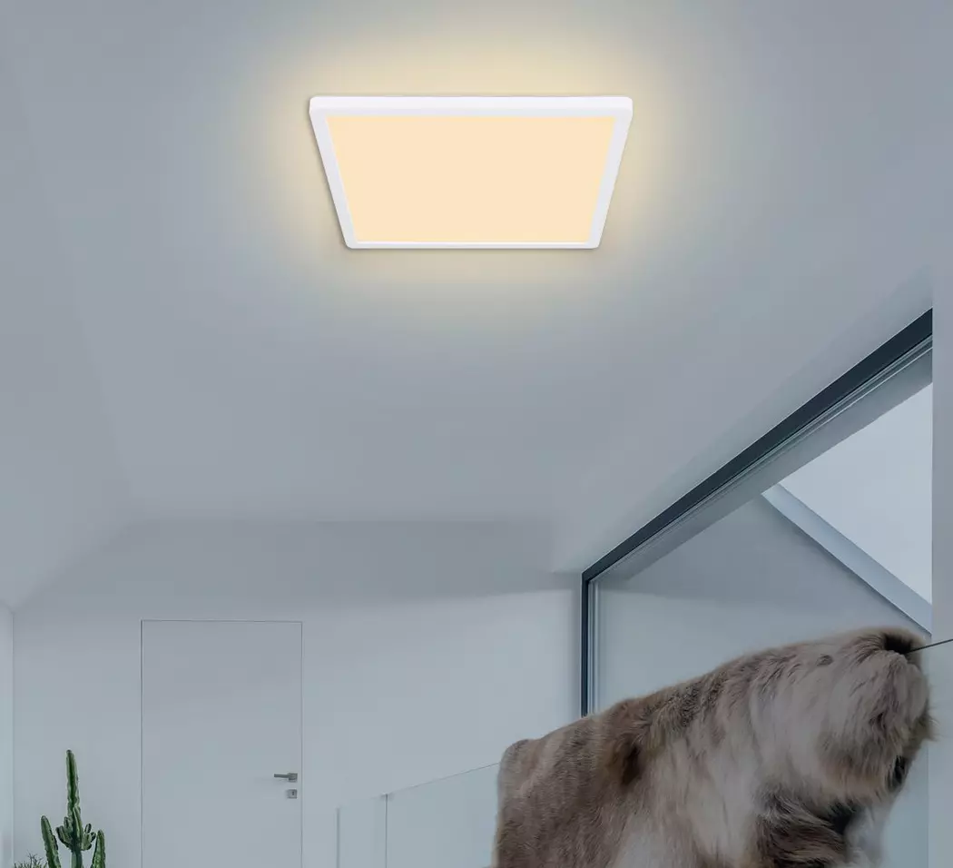 LED-Deckenleuchte Sapana