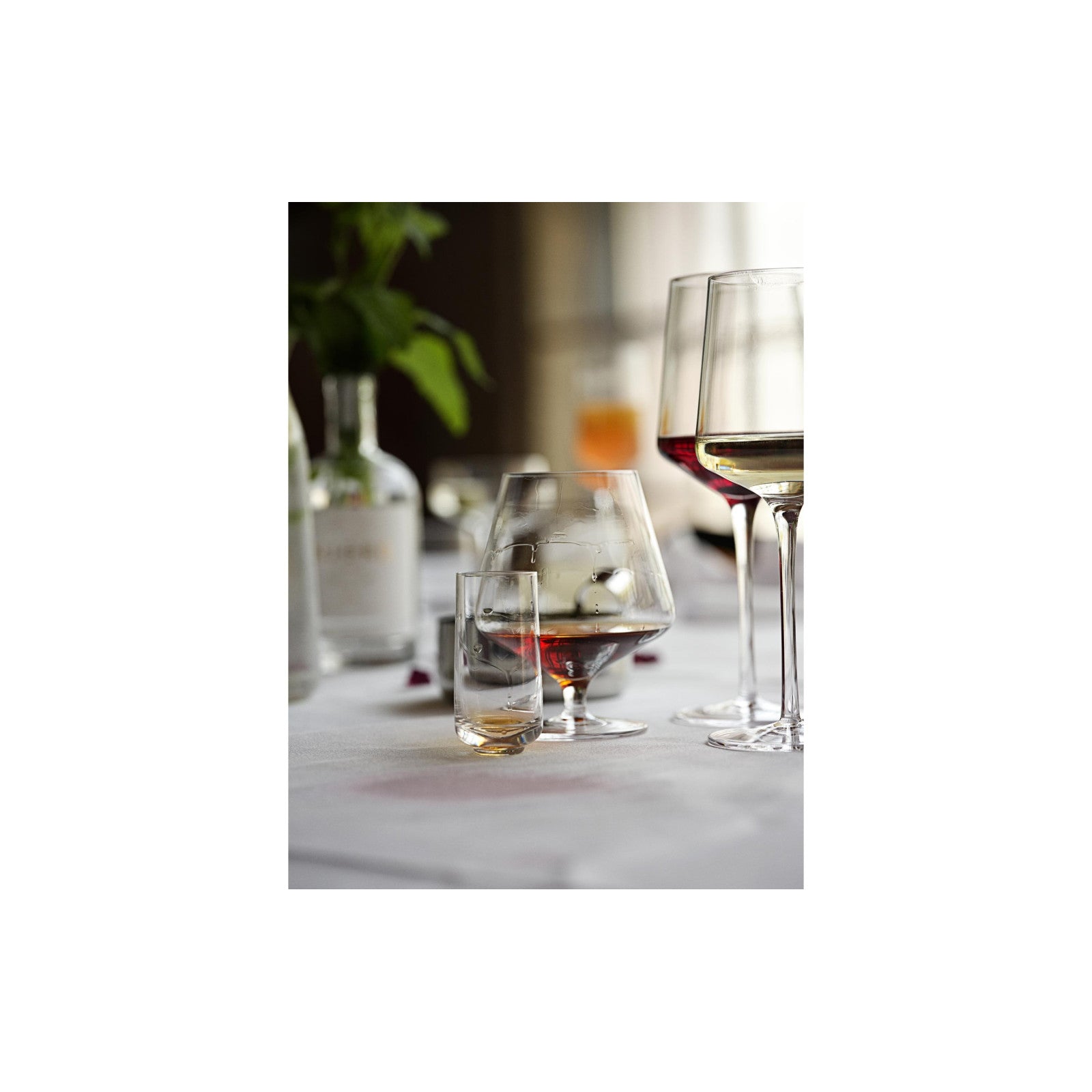Weissweinglas Rocks 300 ml, 2 Stück