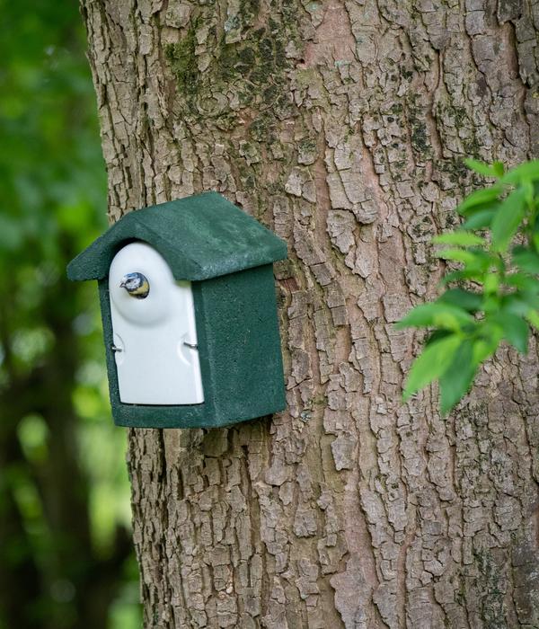 CJ Wildlife WoodStone® Nistkasten Holzbeton,