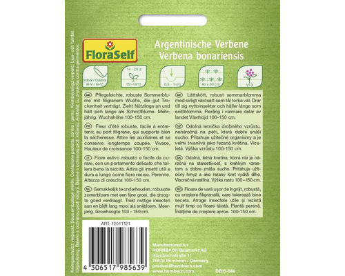 Vervain Argentine Vervain Verbena bonariensis FloraSelf Open-pollinated Seeds Flower Seeds