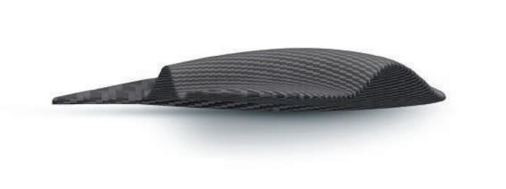 Select Aile Avant Goliath - Front Wing SP 460 cm²