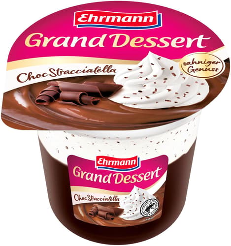 Ehrmann Grand Dessert Schoko-Stracciatella