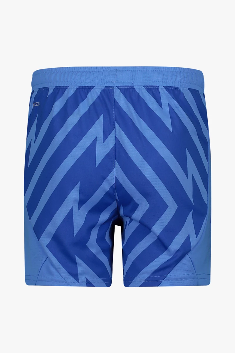 Puma Schweiz Replica Kinder Torwarthose EM 2024