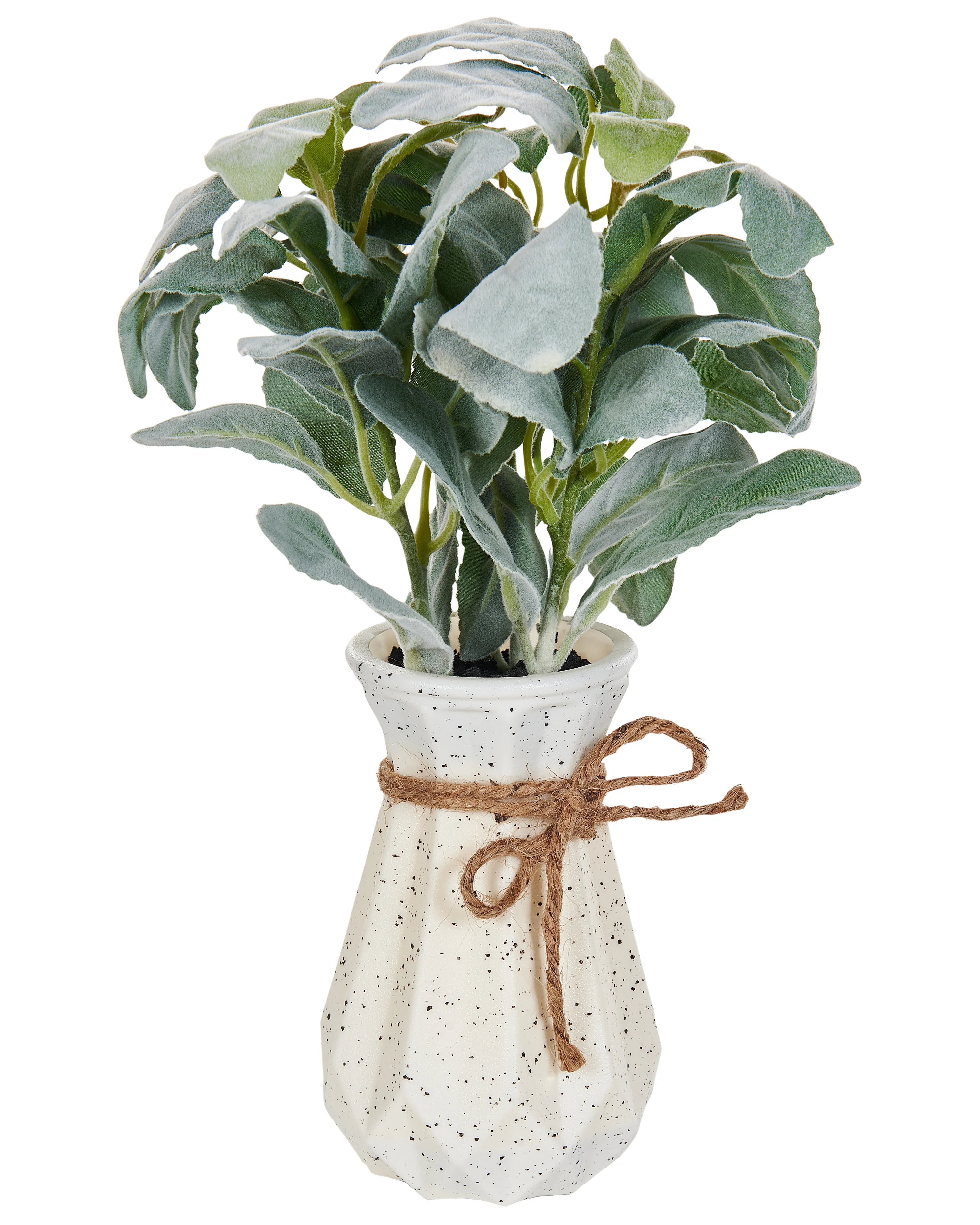 Kunstplant PEPEROMIA ARGYREIA 30 cm Groen
