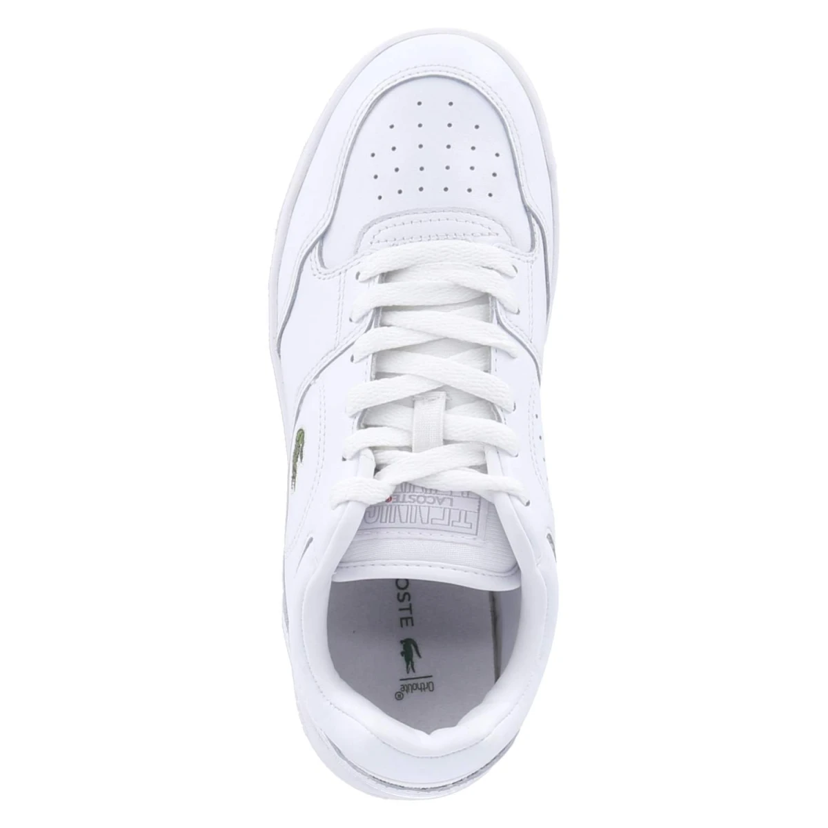 LacosteLow Sneaker LINEDRIVE - wht/wht