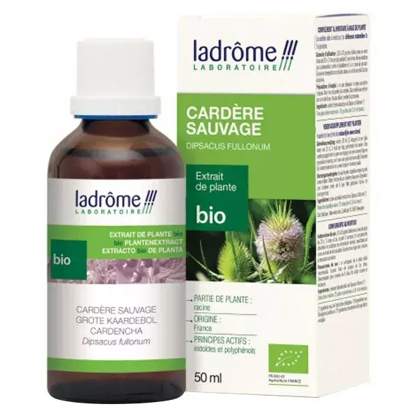 Extrato fresco de planta de cardo-selvagem orgânico Ladrome 50ml