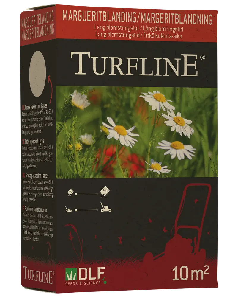 Turfline Margueritblanding 100 g