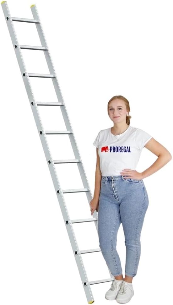 PROREGAL Economy Plus sportschuifladder zonder dwarsbalk, 10 sporten, werkhoogte 3,72 m, draagvermogen 150 kg